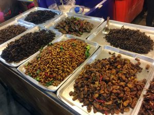 Bangkok fried insects