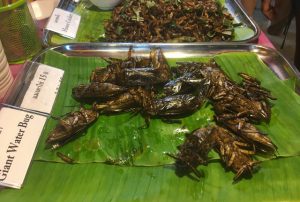 Bangkok fried giant water bug